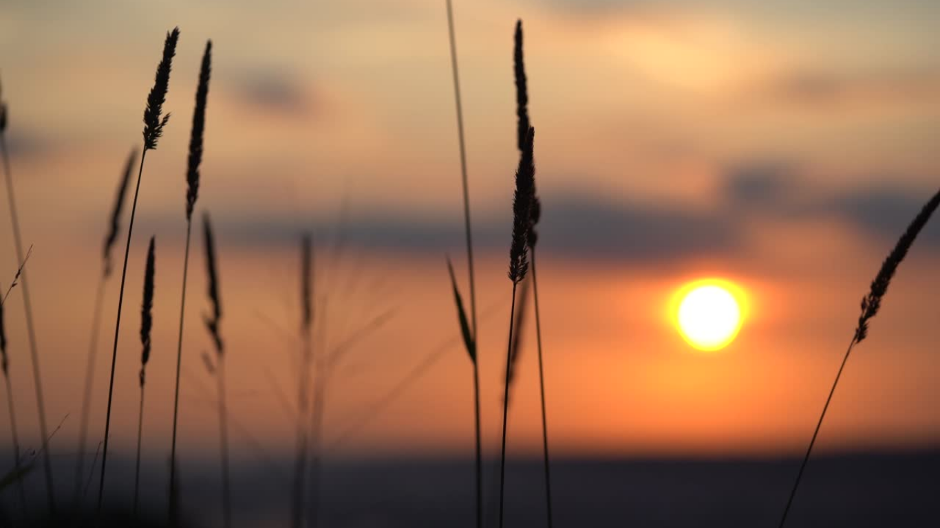 October Journal Prompts